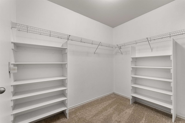 walk in closet featuring carpet