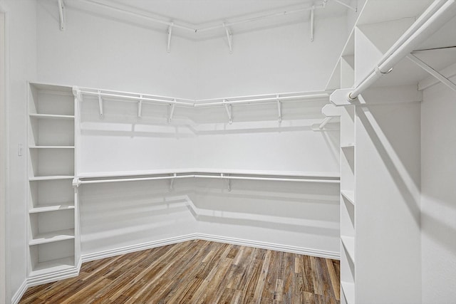 walk in closet featuring hardwood / wood-style floors