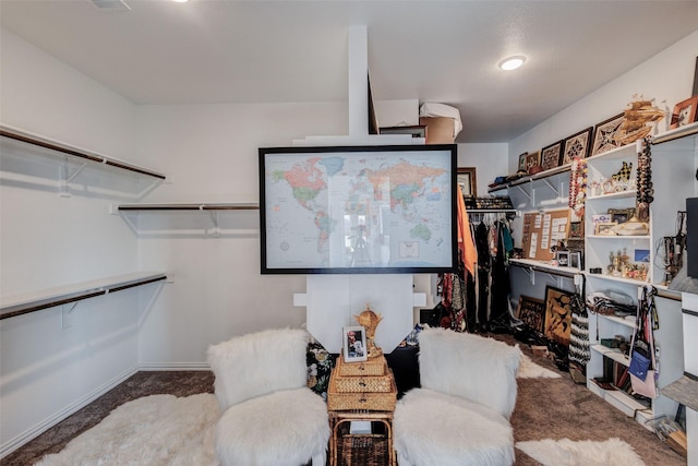 spacious closet featuring carpet floors