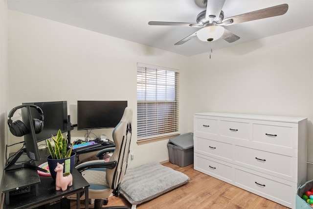 office area featuring ceiling fan and light wood-type flooring