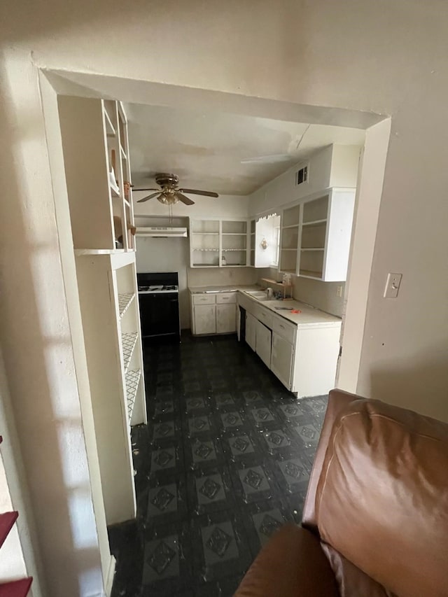 kitchen featuring sink, white cabinets, and ceiling fan