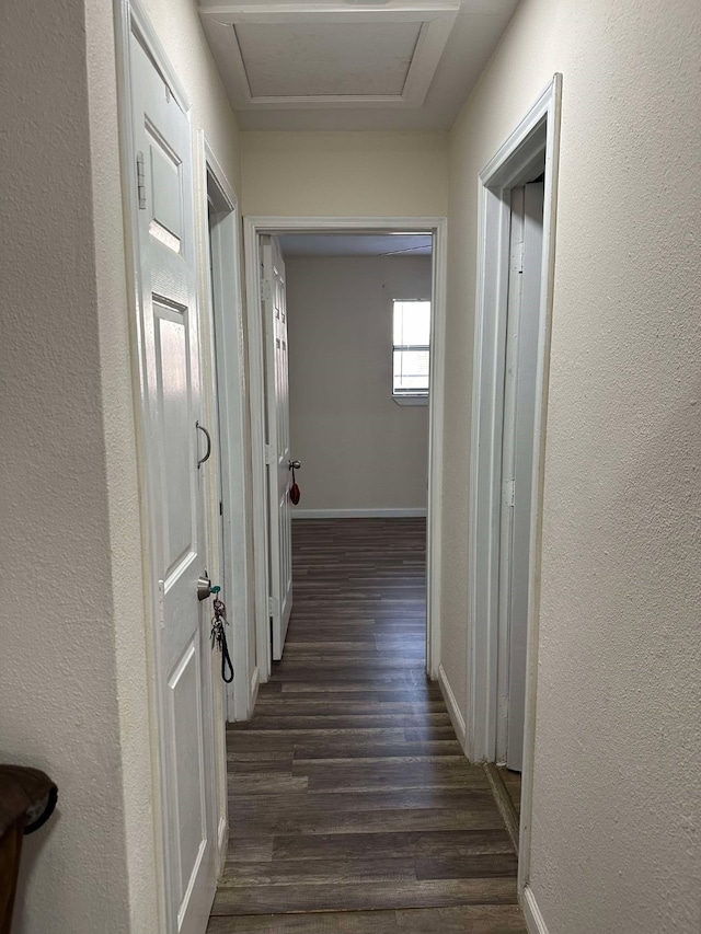 hall with attic access, a textured wall, dark wood finished floors, and baseboards