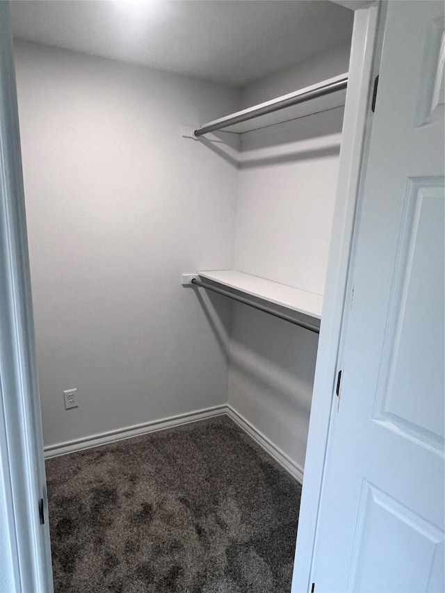 spacious closet with carpet flooring