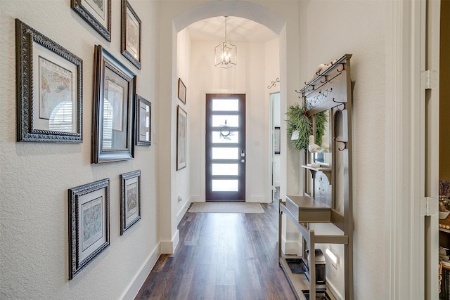 foyer with dark hardwood / wood-style flooring, a notable chandelier, and a high ceiling