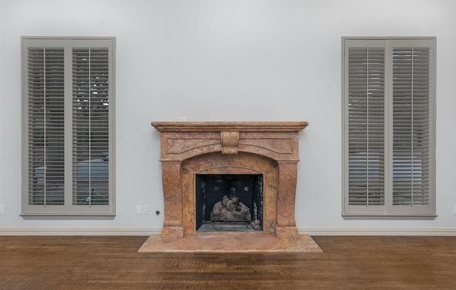 details featuring hardwood / wood-style flooring and a high end fireplace