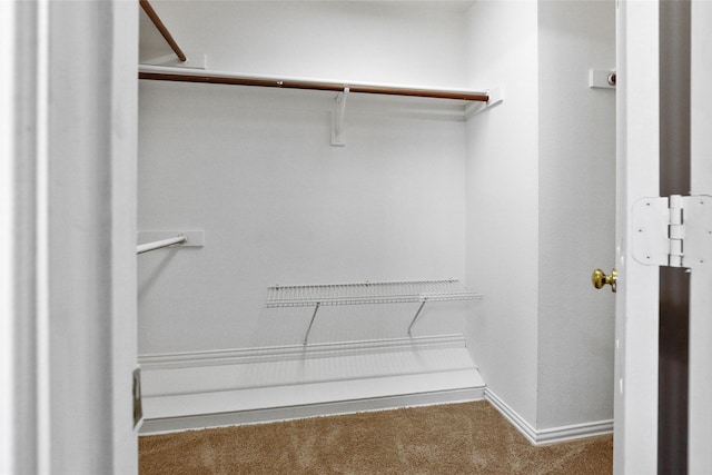 walk in closet with carpet