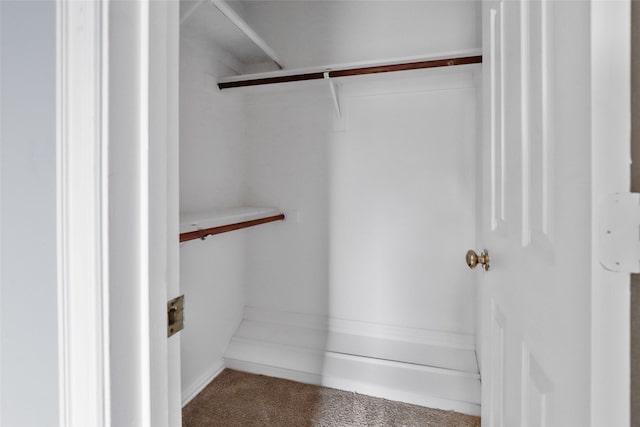 spacious closet with carpet