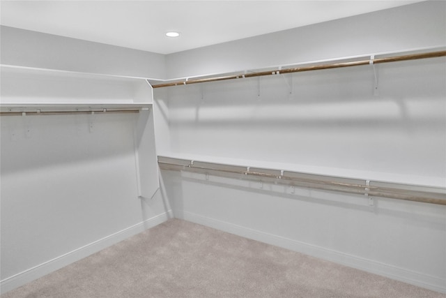 spacious closet with light carpet