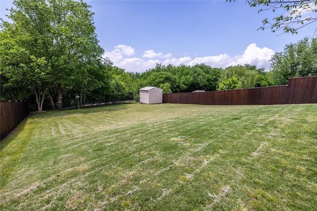 view of yard featuring a shed