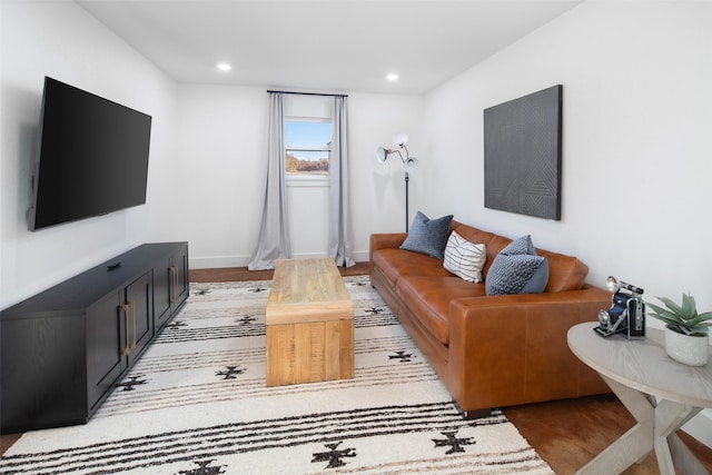 living room featuring wood-type flooring