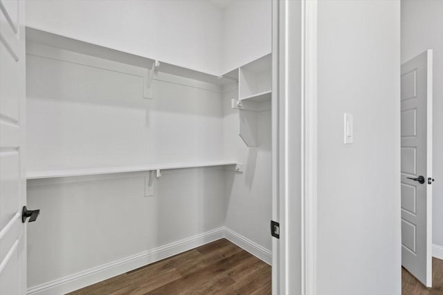 walk in closet featuring dark hardwood / wood-style floors