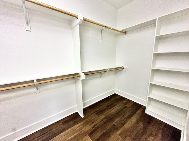 walk in closet featuring dark hardwood / wood-style flooring