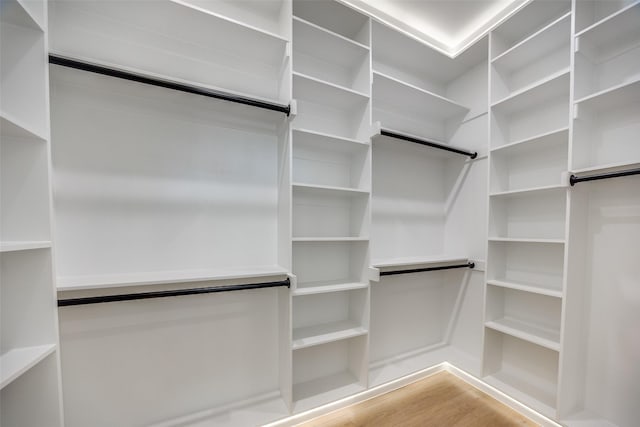 spacious closet featuring hardwood / wood-style floors