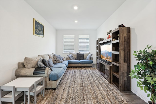 living room with dark wood-type flooring