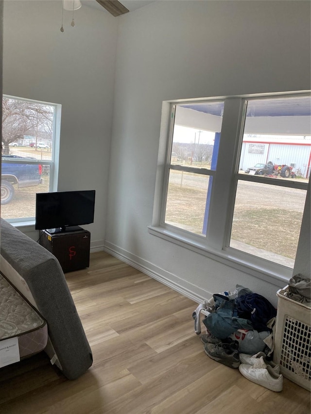 bedroom featuring multiple windows and light wood-type flooring