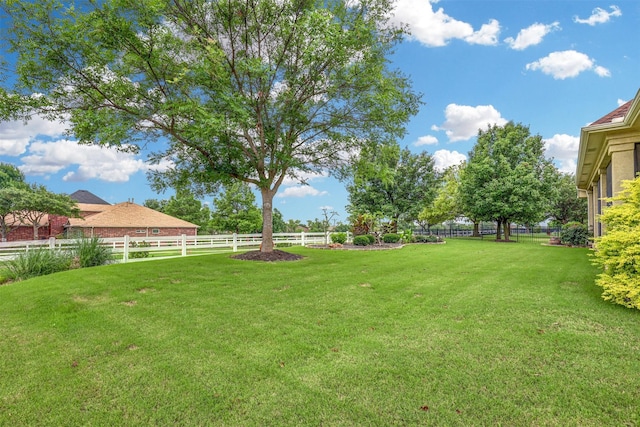9801 Georgia Ave, Denton, TX 76207 - view of yard