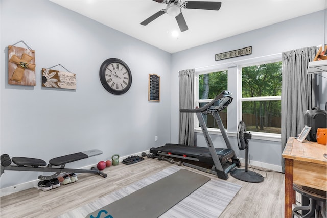 86593 N State Highway 289, Pottsboro, TX 75076 - exercise area with hardwood / wood-style flooring and ceiling fan