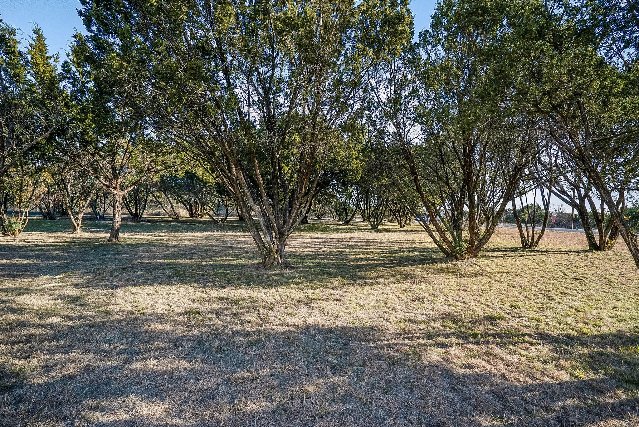 view of yard featuring a rural view