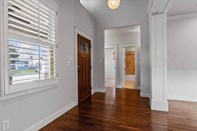 entrance foyer with ornamental molding and dark hardwood / wood-style floors