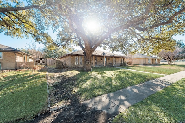 ranch-style house with a front yard