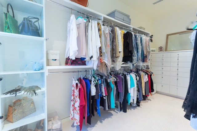 spacious closet featuring light colored carpet