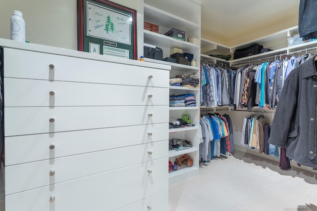 spacious closet featuring light carpet