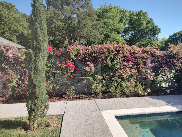 view of pool