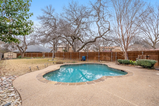 view of pool featuring a storage shed and a patio