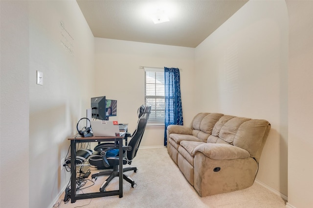 office featuring light colored carpet