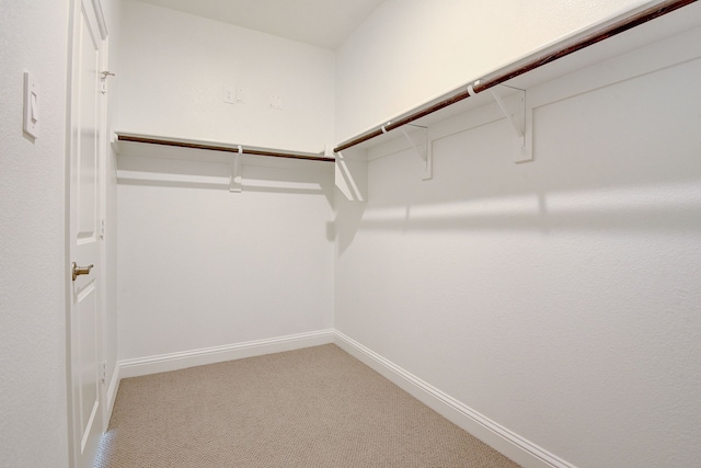 walk in closet with carpet flooring