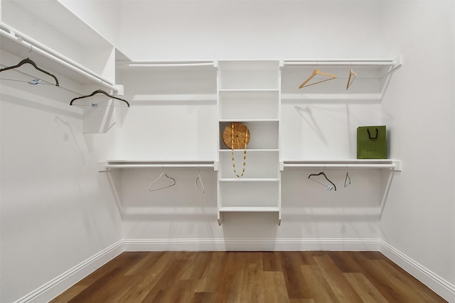 walk in closet featuring wood-type flooring