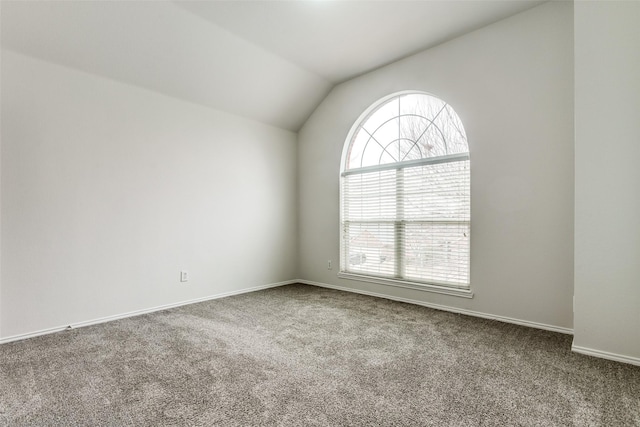 spare room featuring lofted ceiling and carpet floors