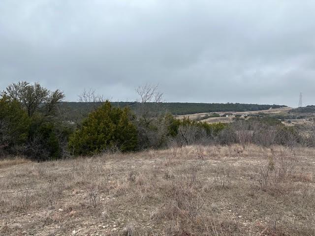 Listing photo 2 for 2008 Canyon Wren Loop, Graford TX 76449