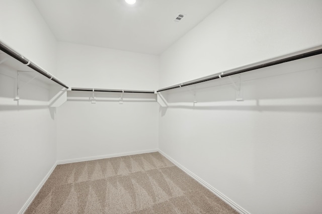 walk in closet with light carpet