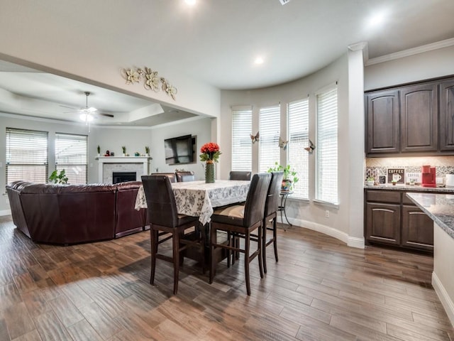 dining space with a fireplace, a tray ceiling, plenty of natural light, and dark wood-style floors