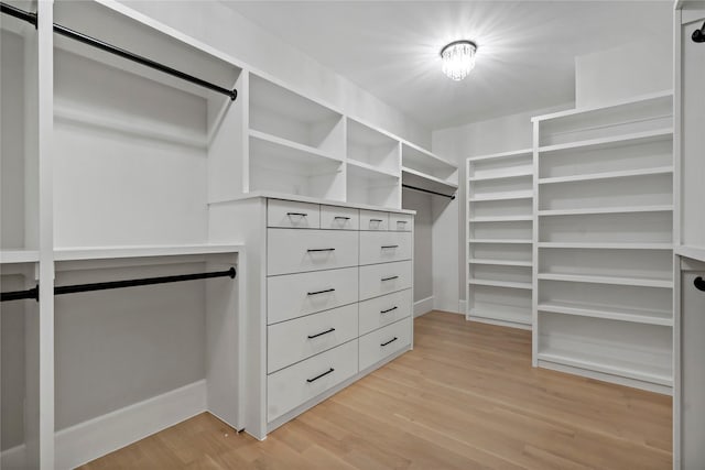 walk in closet with light wood finished floors