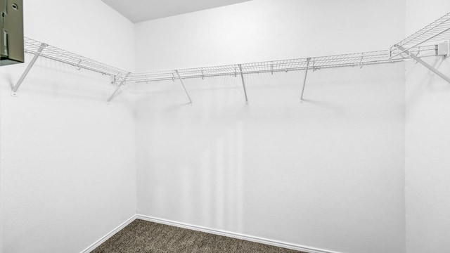 walk in closet with carpet