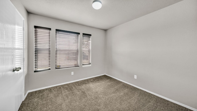 empty room featuring carpet floors