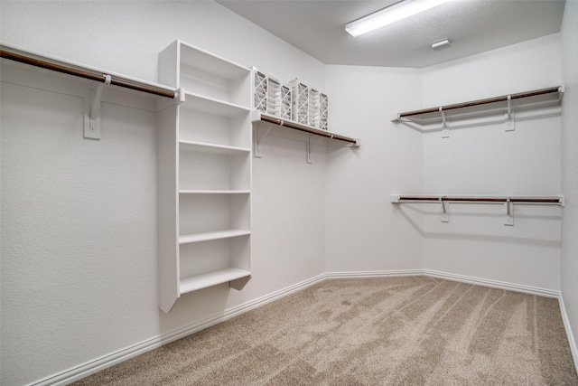 spacious closet featuring carpet flooring