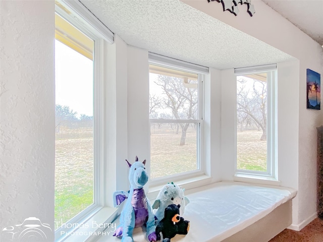 interior space with plenty of natural light and a textured ceiling