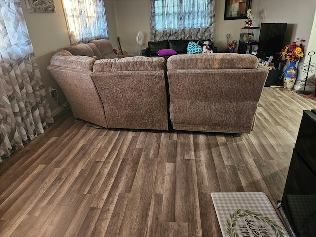 living area featuring wood finished floors