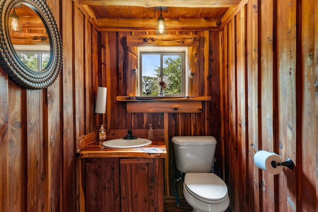 bathroom with vanity, wood ceiling, and toilet