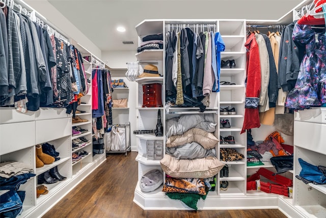 walk in closet with wood-type flooring