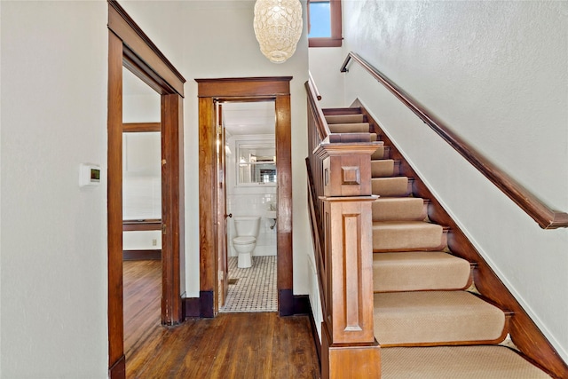 stairway with hardwood / wood-style flooring