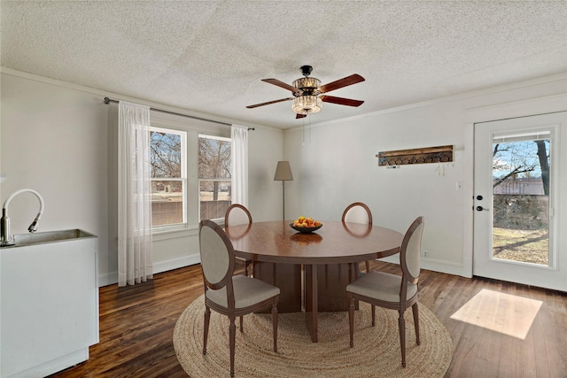 dining area featuring dark hardwood / wood-style floors, sink, ornamental molding, ceiling fan, and a textured ceiling