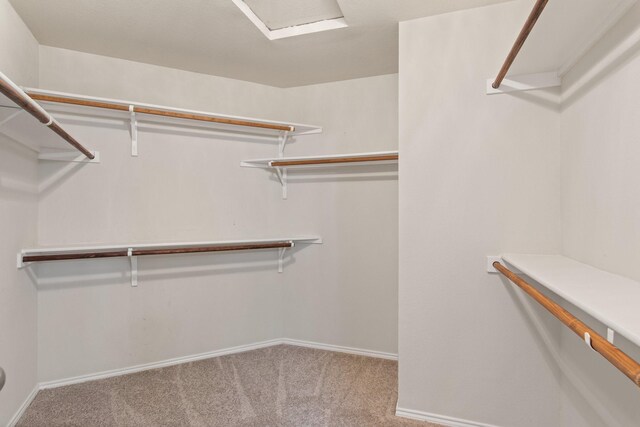 walk in closet featuring carpet floors