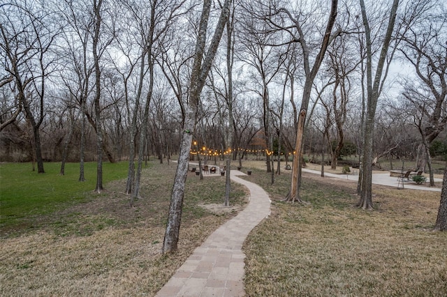 view of home's community with a yard