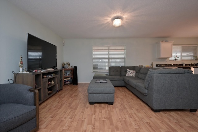 living room featuring a wealth of natural light, a textured ceiling, and light hardwood / wood-style flooring