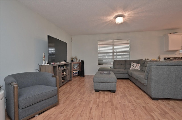 living room featuring light hardwood / wood-style flooring and a textured ceiling