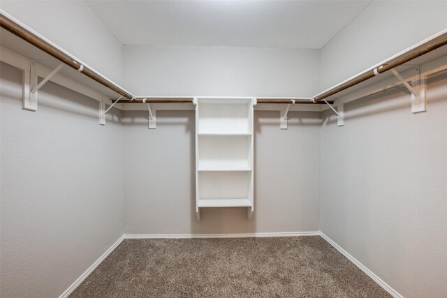 unfurnished bedroom featuring a closet, a spacious closet, dark carpet, and multiple windows